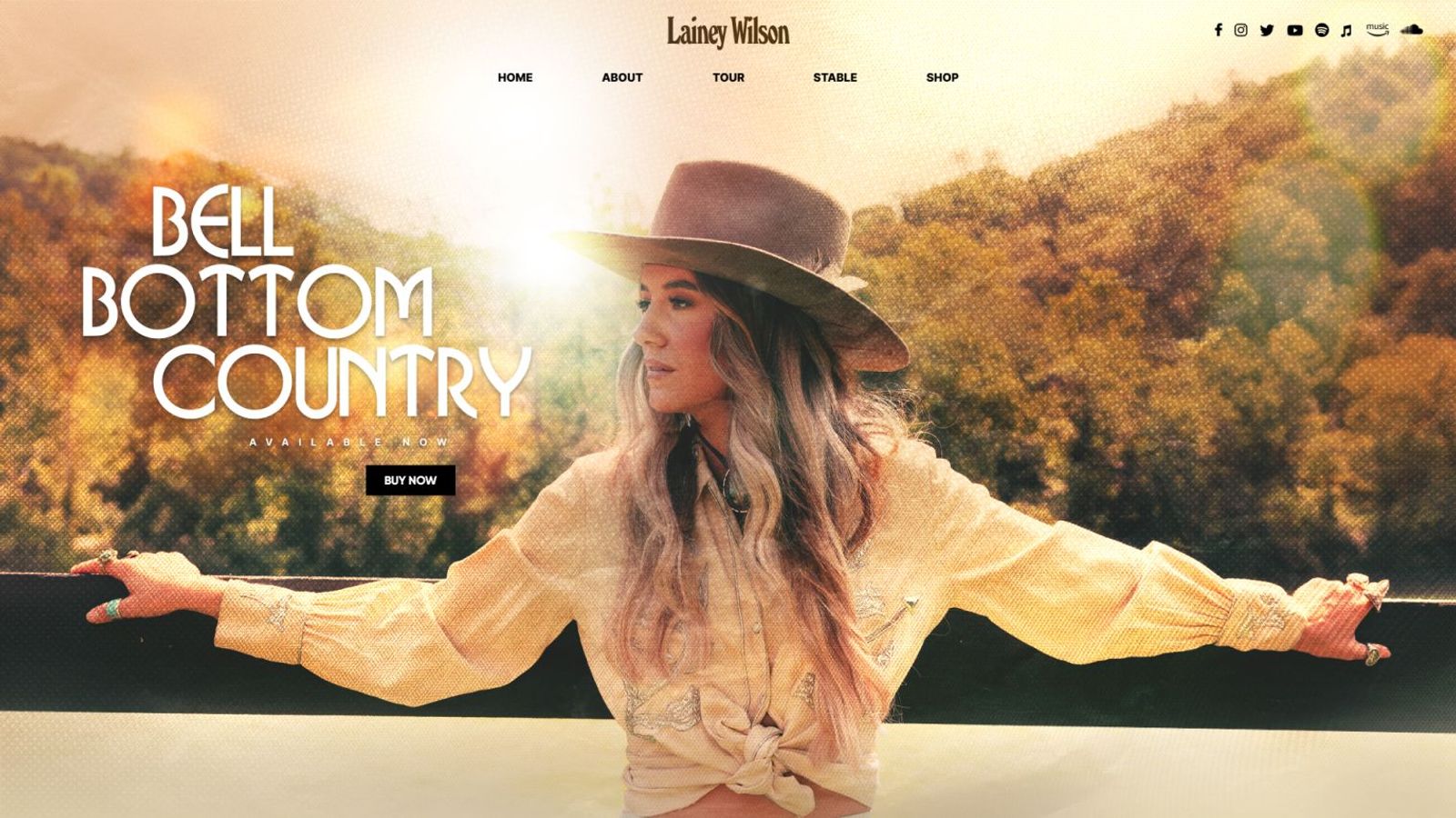 Lainey Wilson design 3