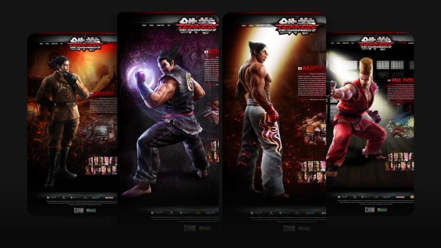 Tekken Tag Tournament 2 design 1