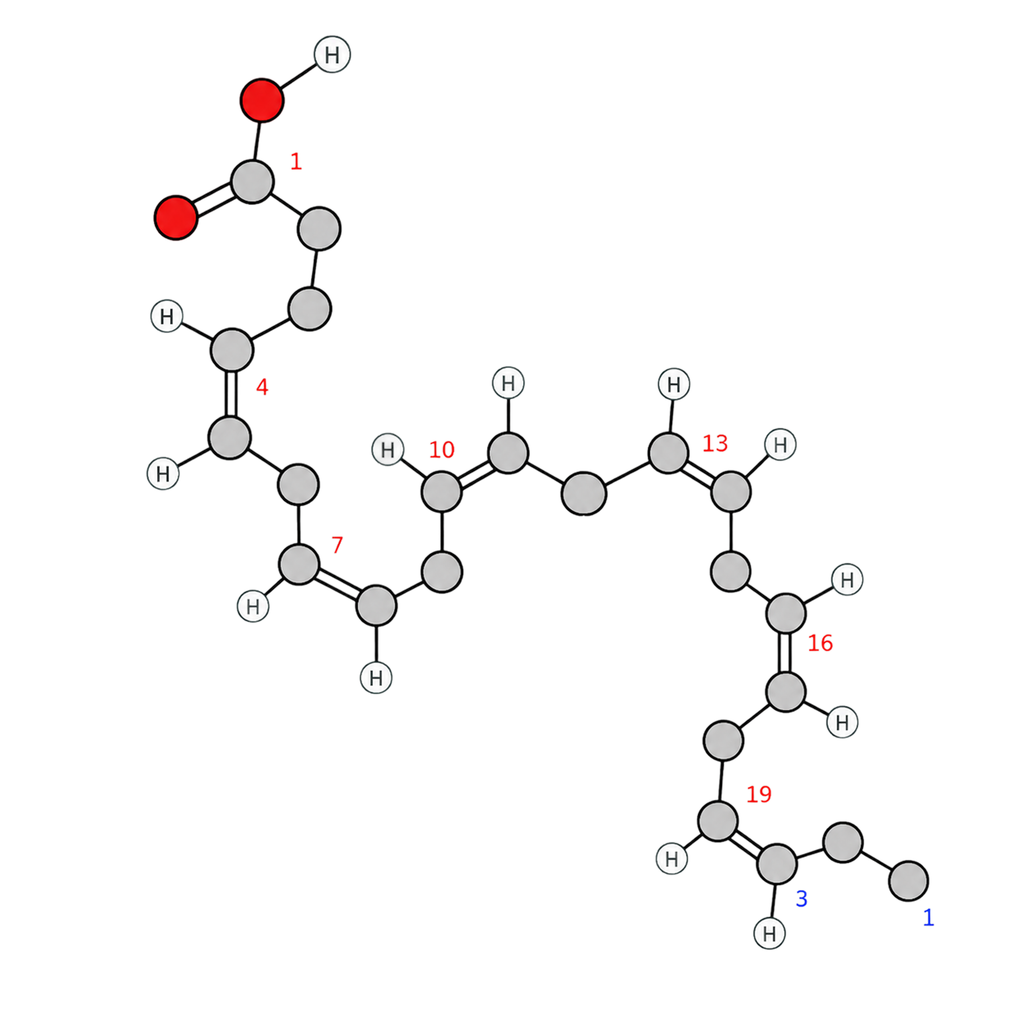 Molecola DHA Omega-3
