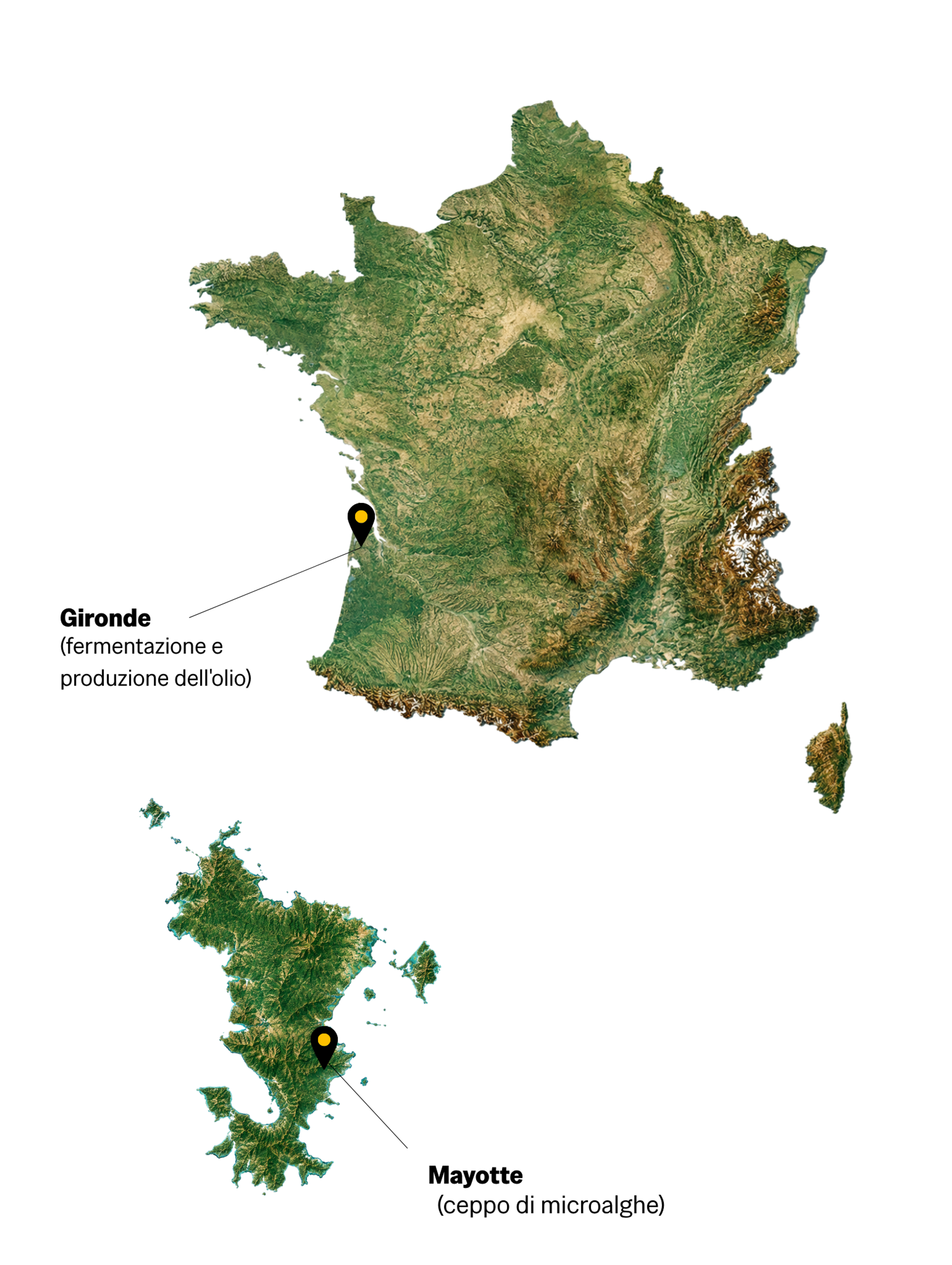 Mappa della Nuova Zelanda