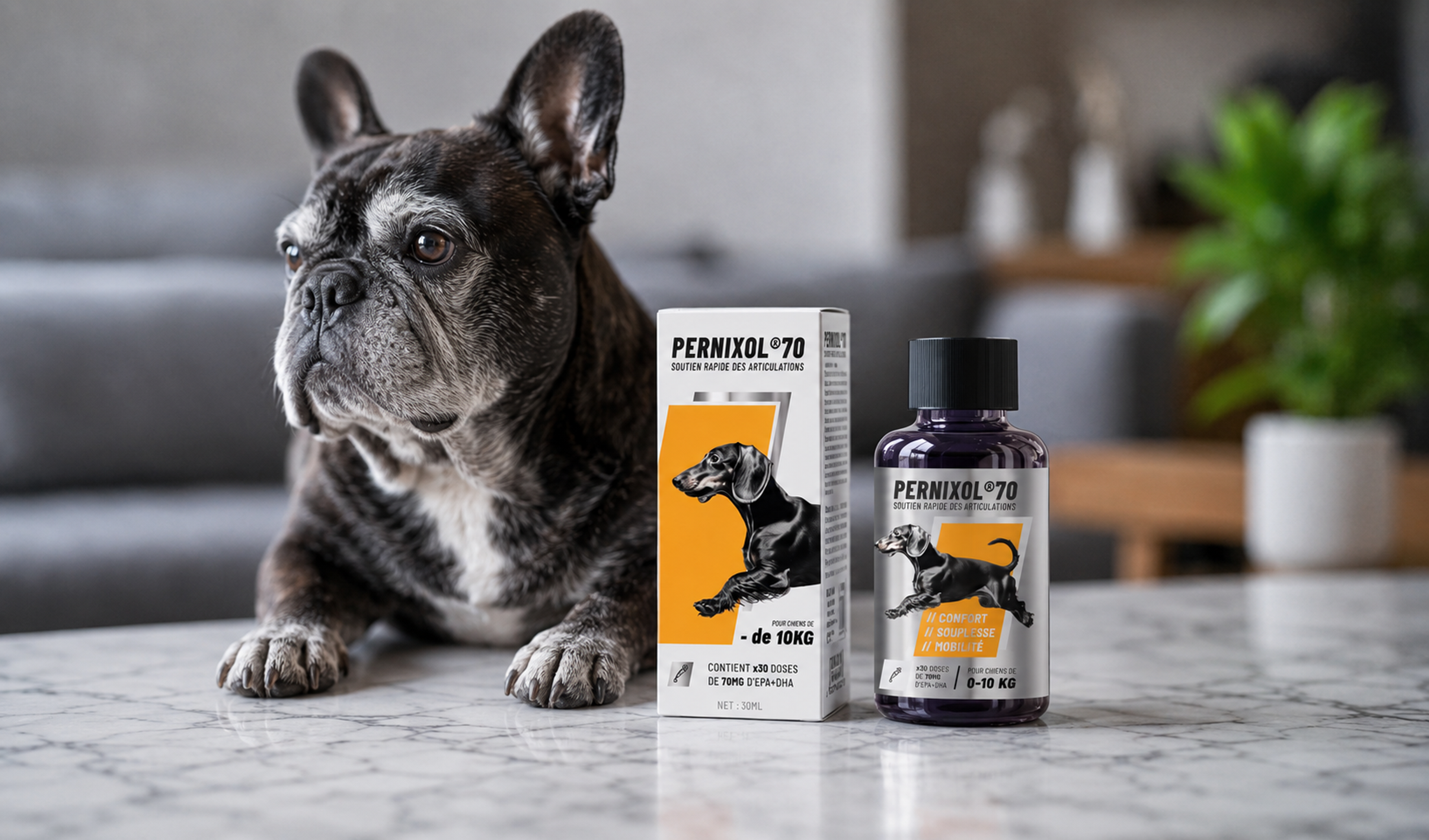 Produit PERNIXOL®420