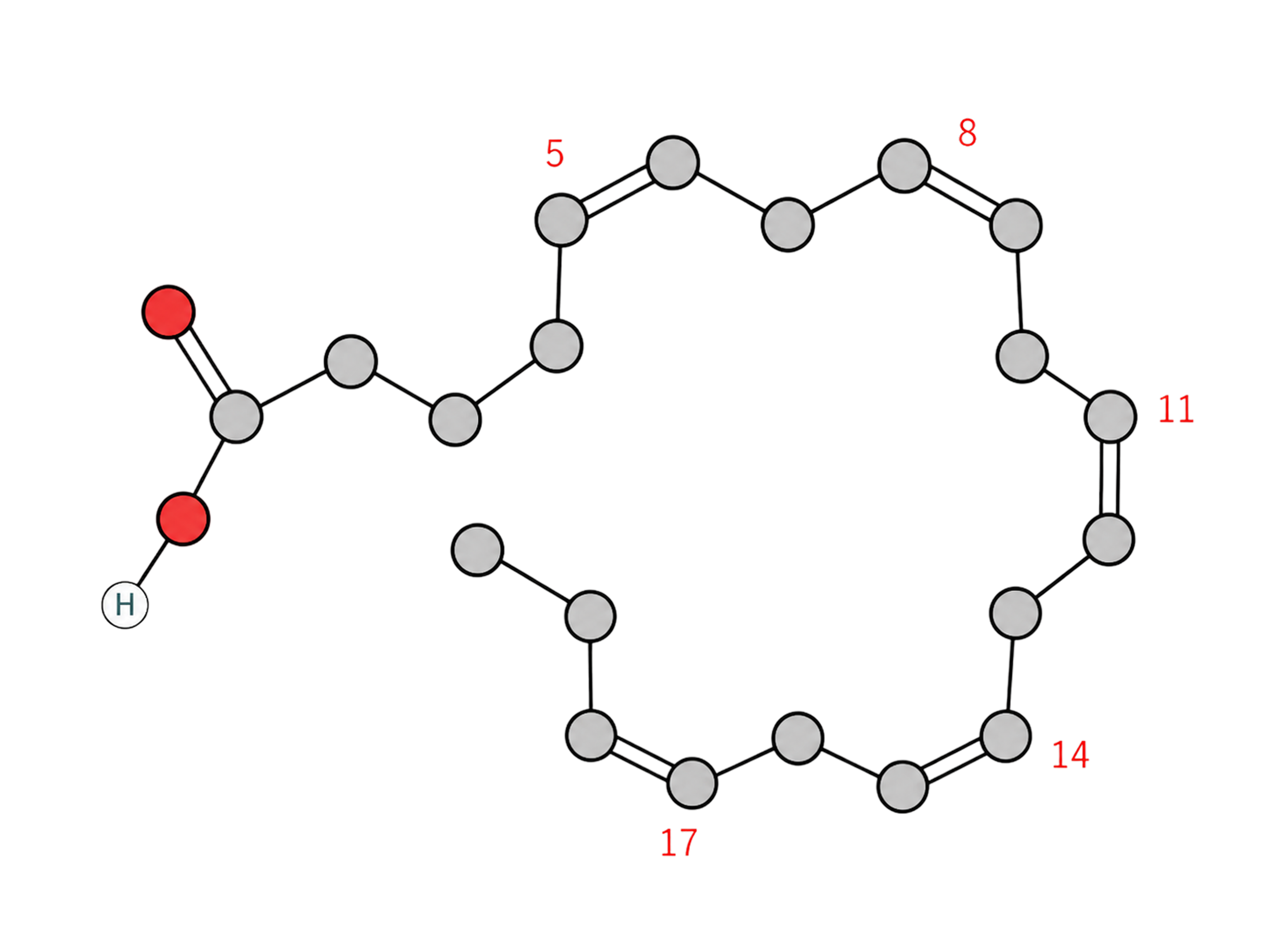 Molécule EPA (Eicosapentaenoic Acid)
