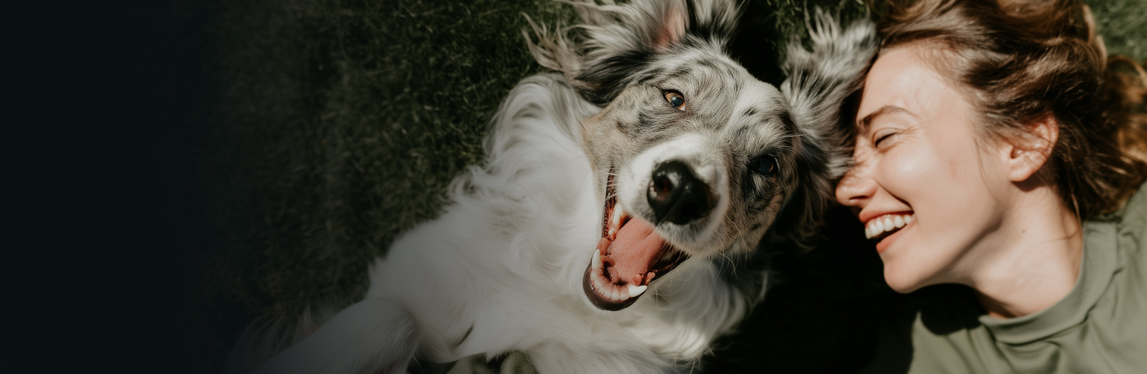 Une jeune femme et son chien jouent dans l'herbe