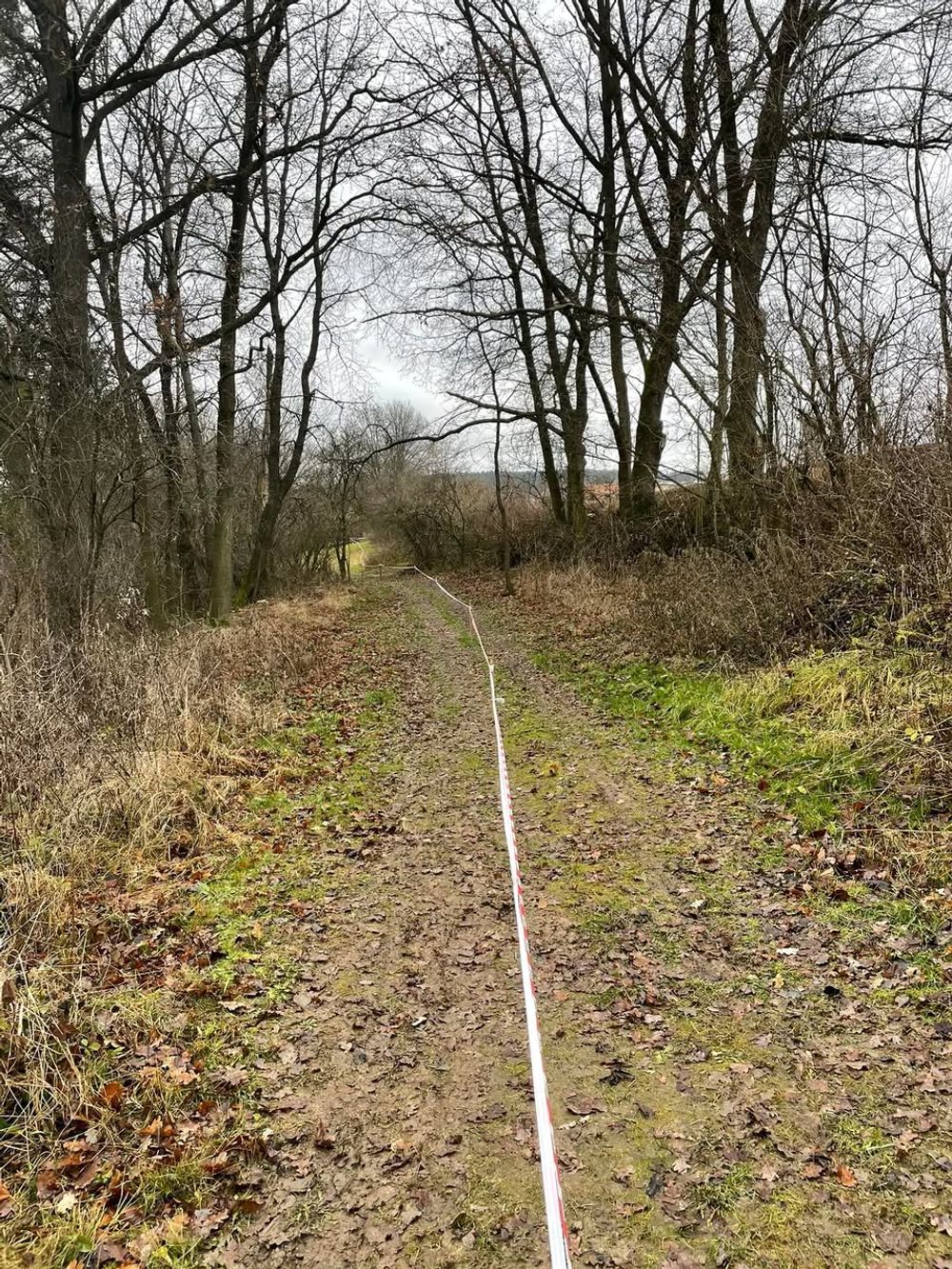 Příprava tratě