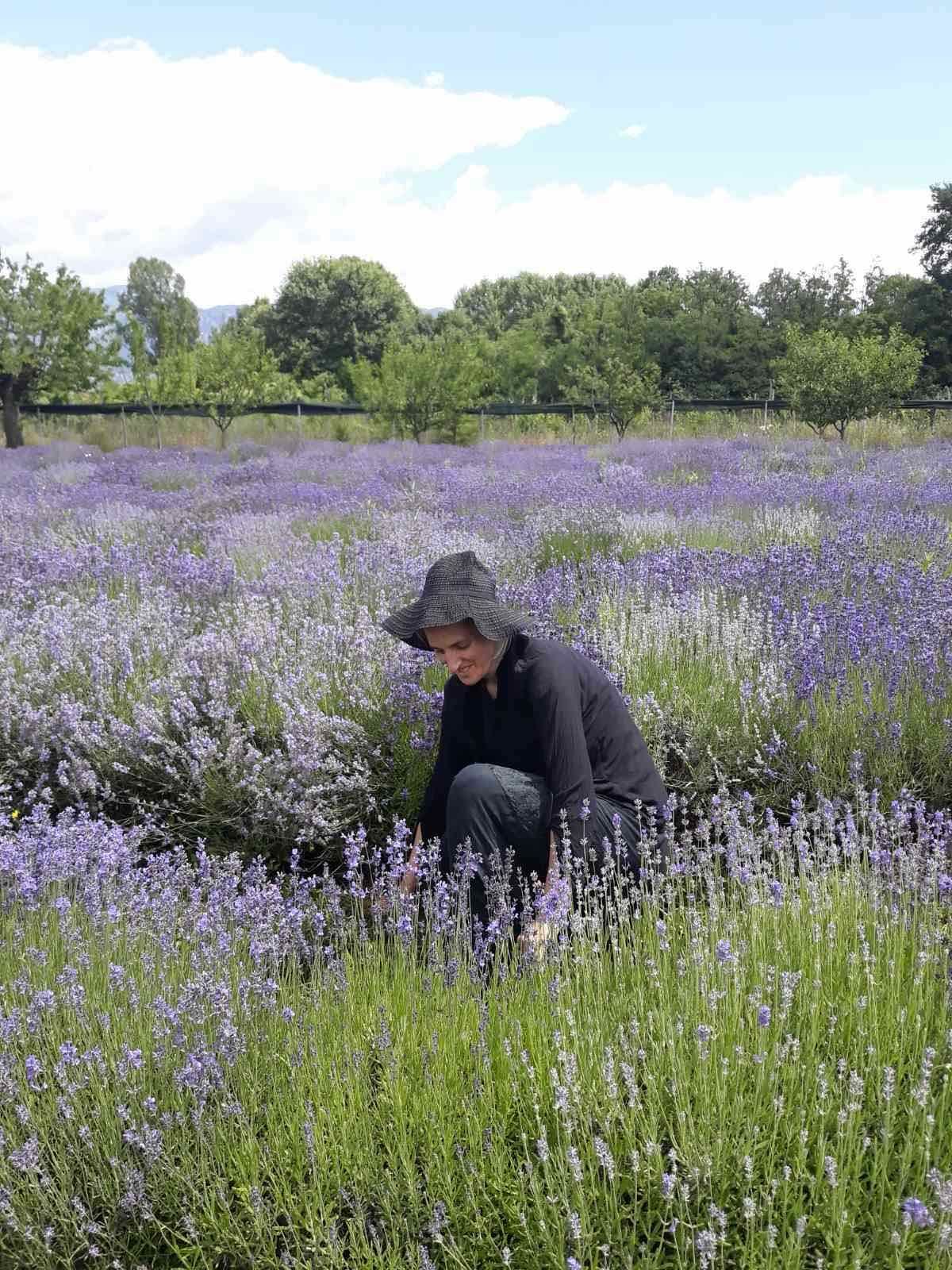 A woman dressed in black and wearing a hat picks lavender in a vast field of purple flowers, surrounded by greenery.