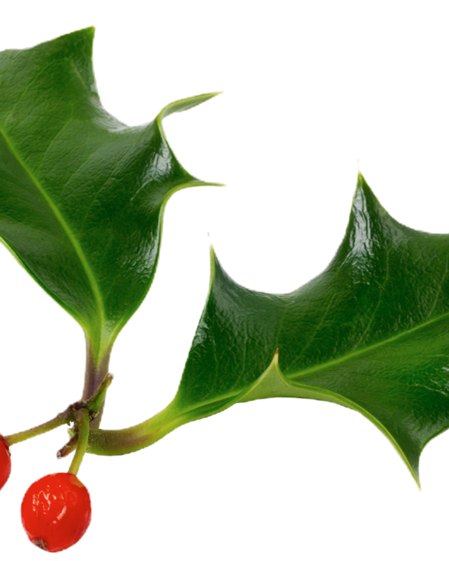 Holiday greenery