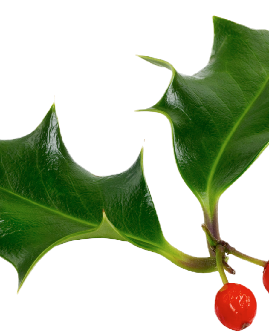 Holiday greenery