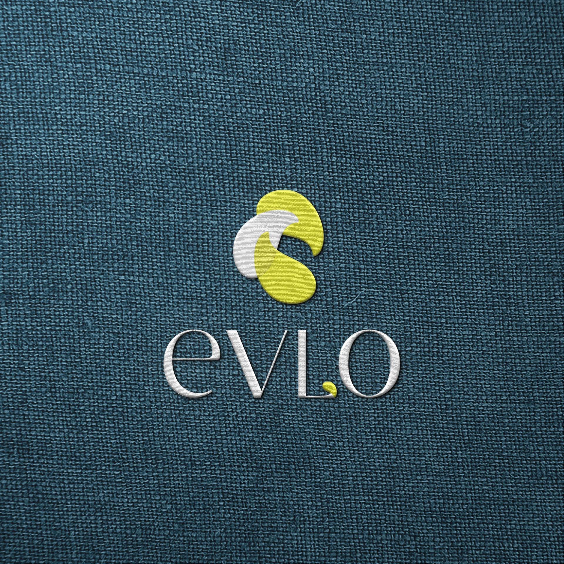 Instituto Evlo, imagem 16