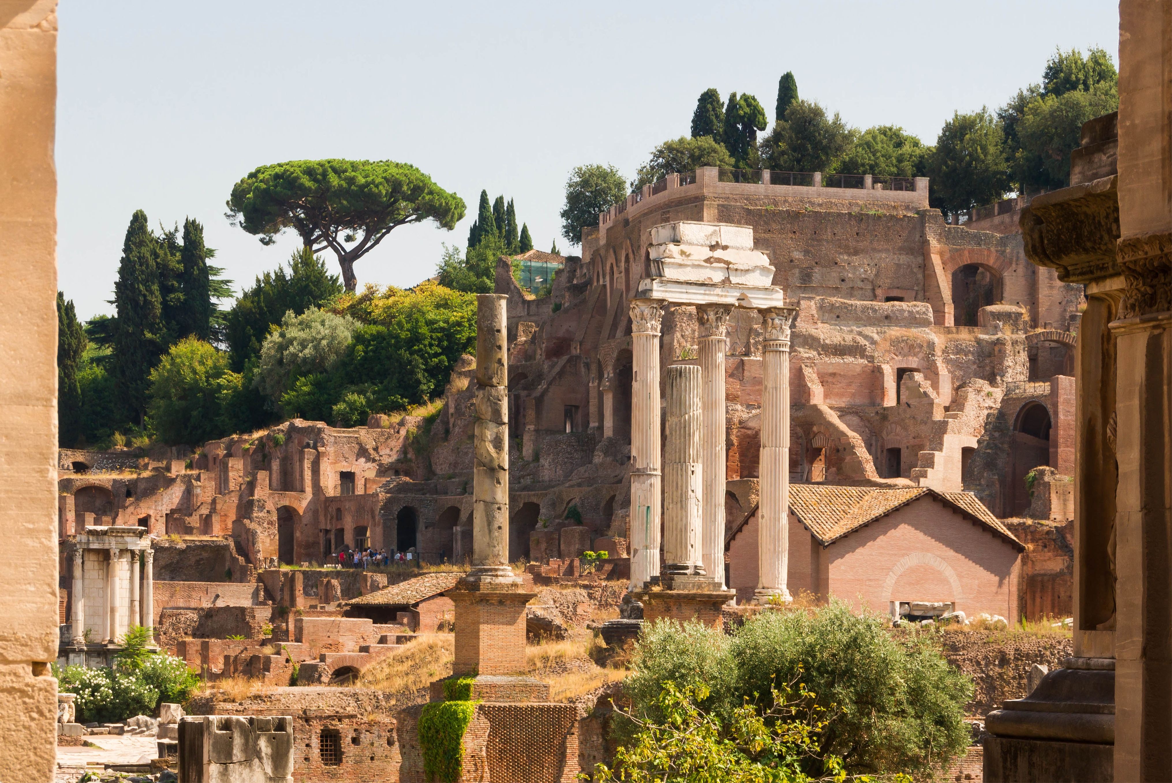 Colosseum Arena & Roman Forum Tour