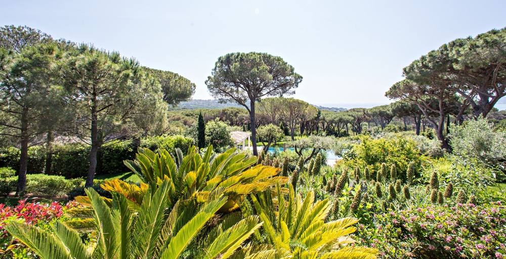 l'Oasis des Pins 8