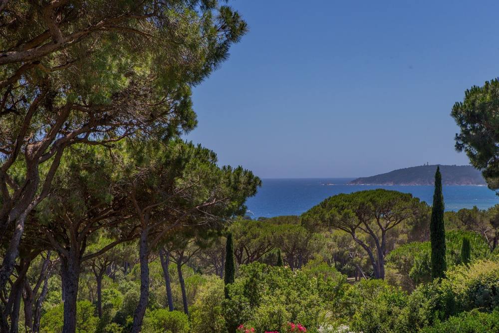l'Oasis des Pins 7