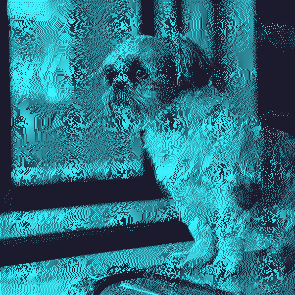 A beautiful Shih Tzu swooning over her poppa