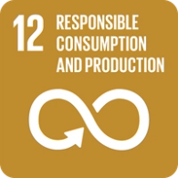 Global Goals 12 Responsible Consumption and Production