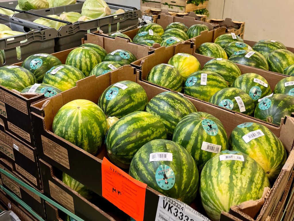 Overskuddsvarer på kjølelageret hos Skåne Stadsmissions matsentral.