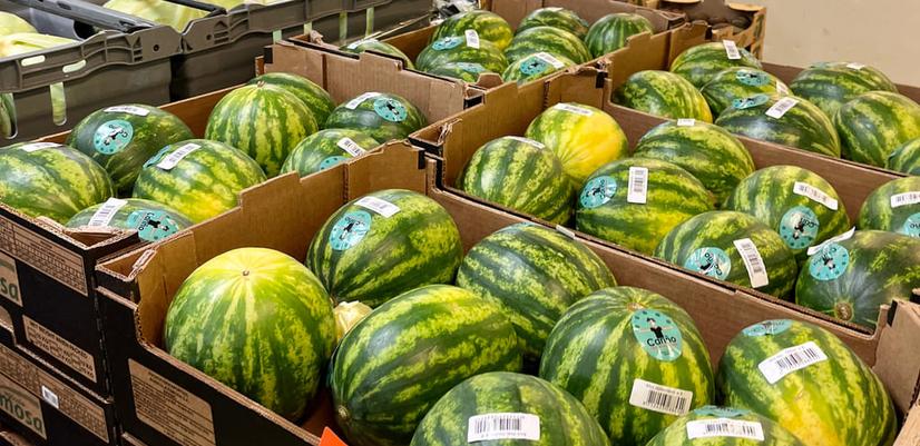 Overskuddsvarer på kjølelageret hos Skåne Stadsmissions matsentral.