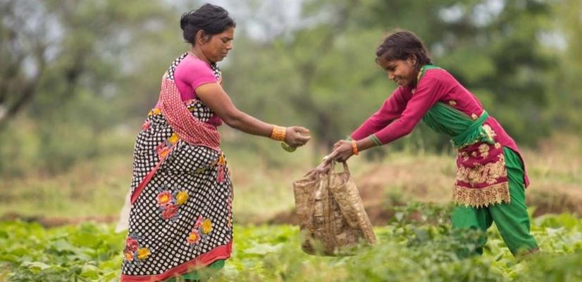 En kvinne og en jente arbeider med å høste inn avlinger.