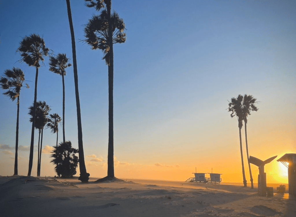 En strand i solnedgang.  