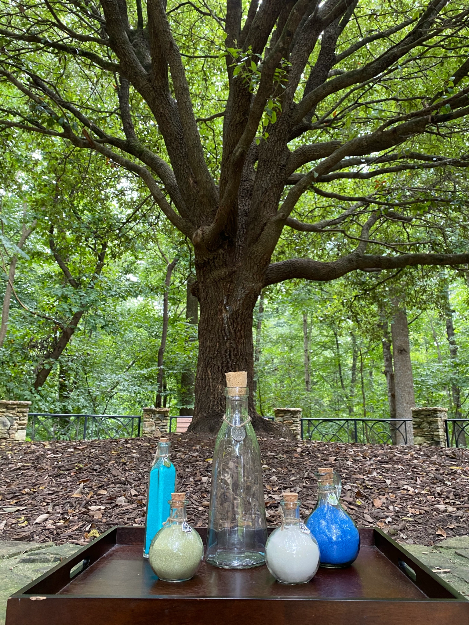 Sand Ceremony setup in front of a large tree in Anderson Point Park