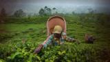 Sri Lanka: The Hidden Victim of Iran’s Expanding Influence