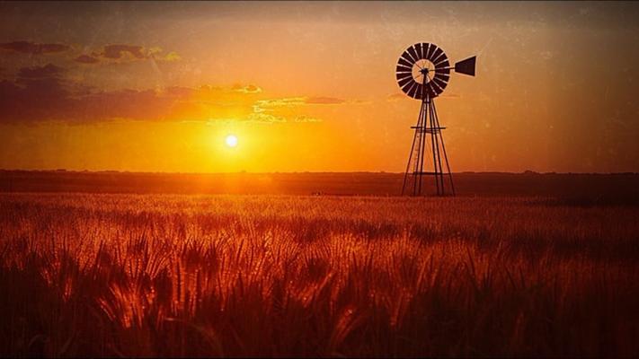 South Africa Declares War on Private Property