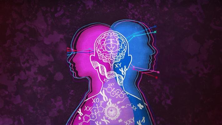 UK Supreme Court Ruling: A Victory for Biological Sex