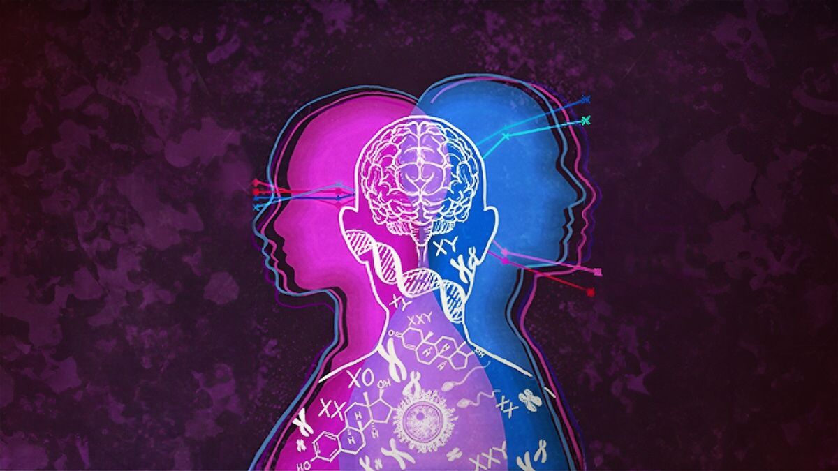 UK Supreme Court Ruling: A Victory for Biological Sex