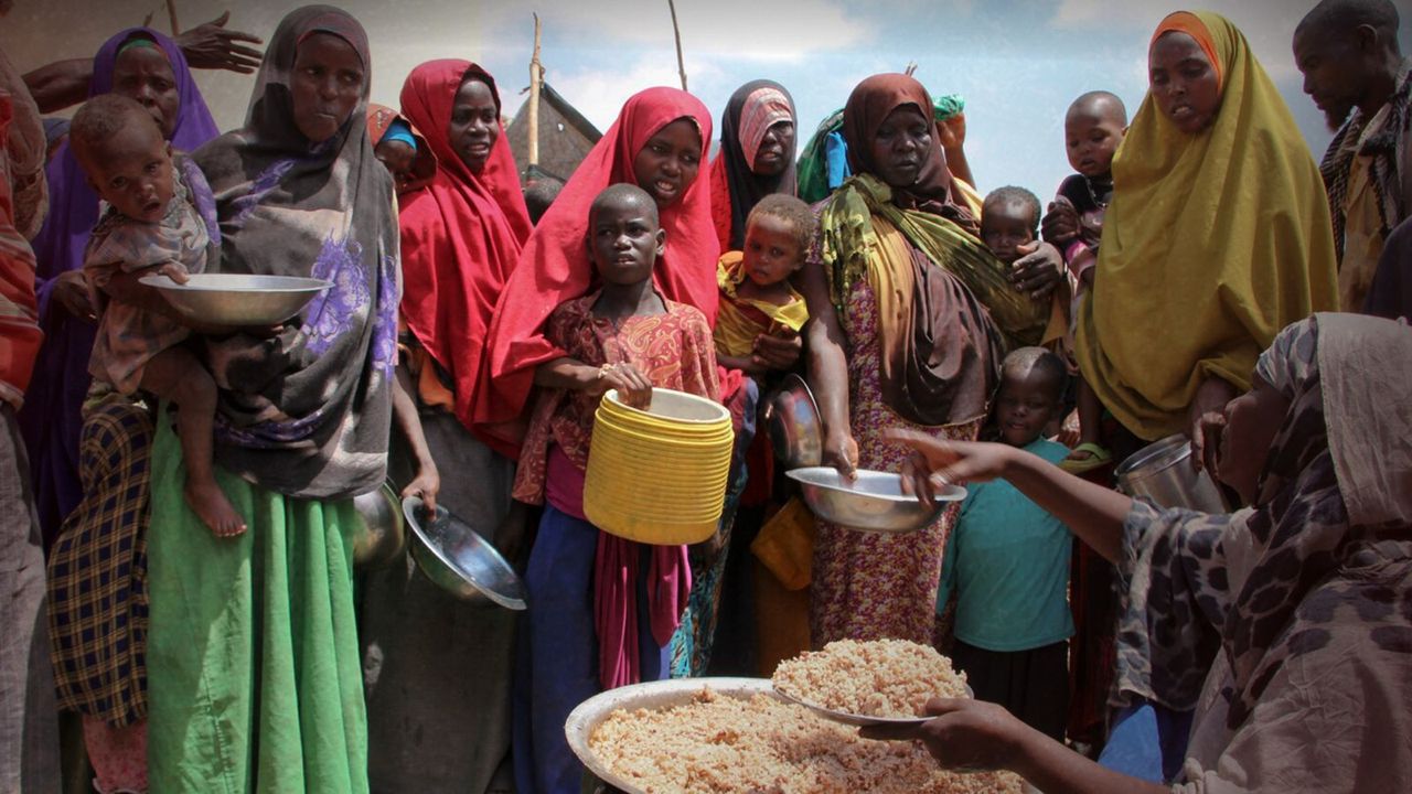The Hunger Vote: How Food Crises Decide Elections in Africa