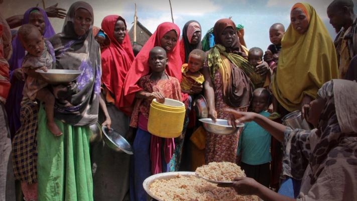 The Hunger Vote: How Food Crises Decide Elections in Africa
