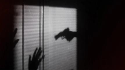 Gang Violence in the Western Cape 