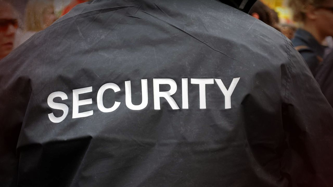 What Europe Can Learn from South Africa’s Private Security Evolution