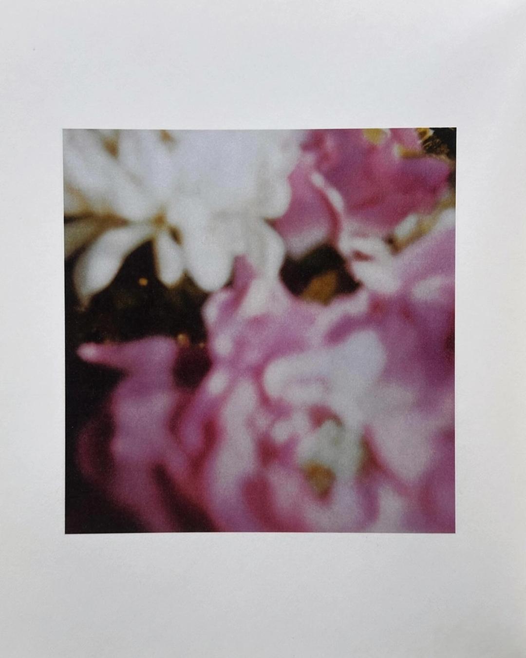 POLAROID BY CY TWOMBLY
