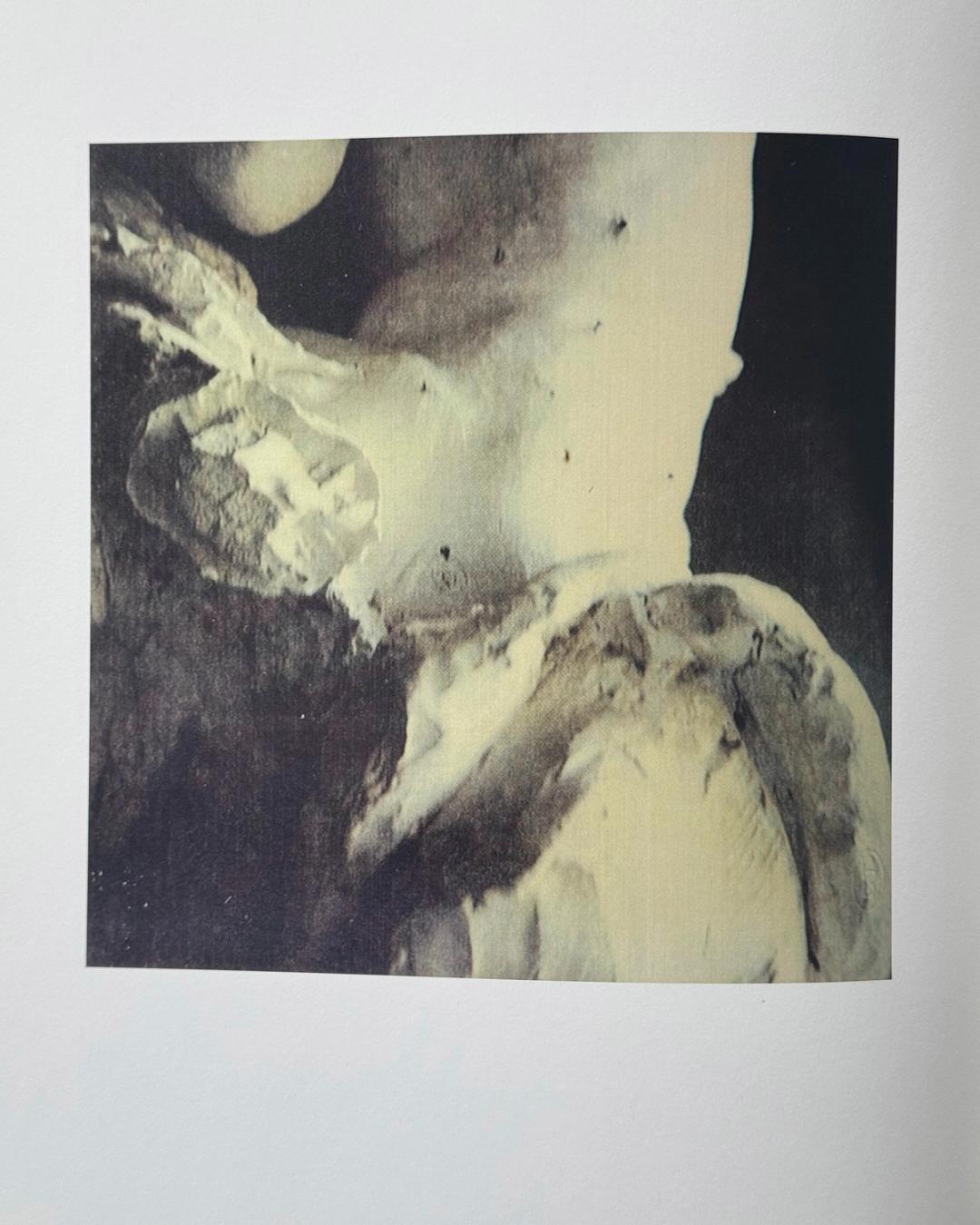 POLAROID BY CY TWOMBLY