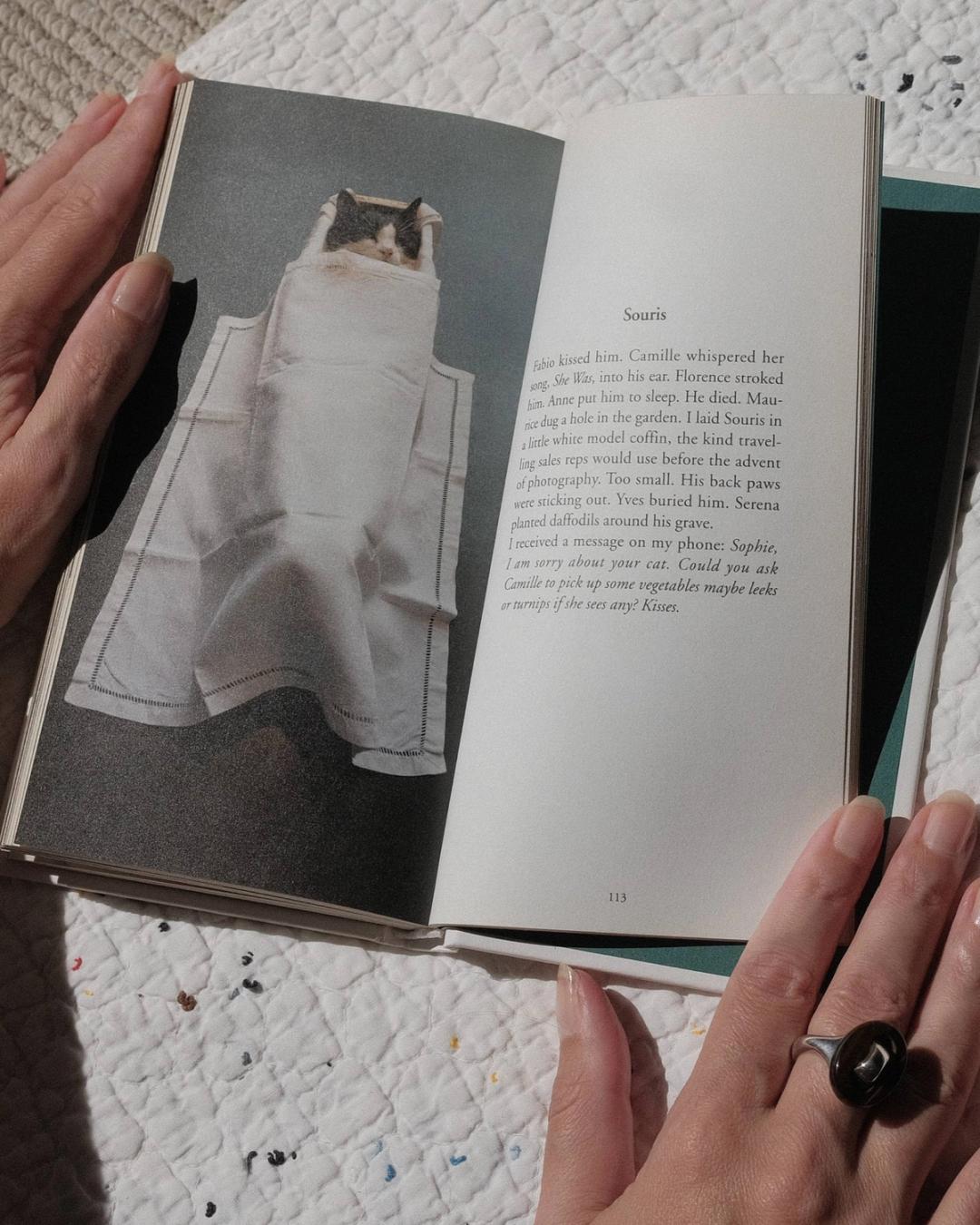 Sophie Calle ‘True Stories’ by Kayten Schmidt