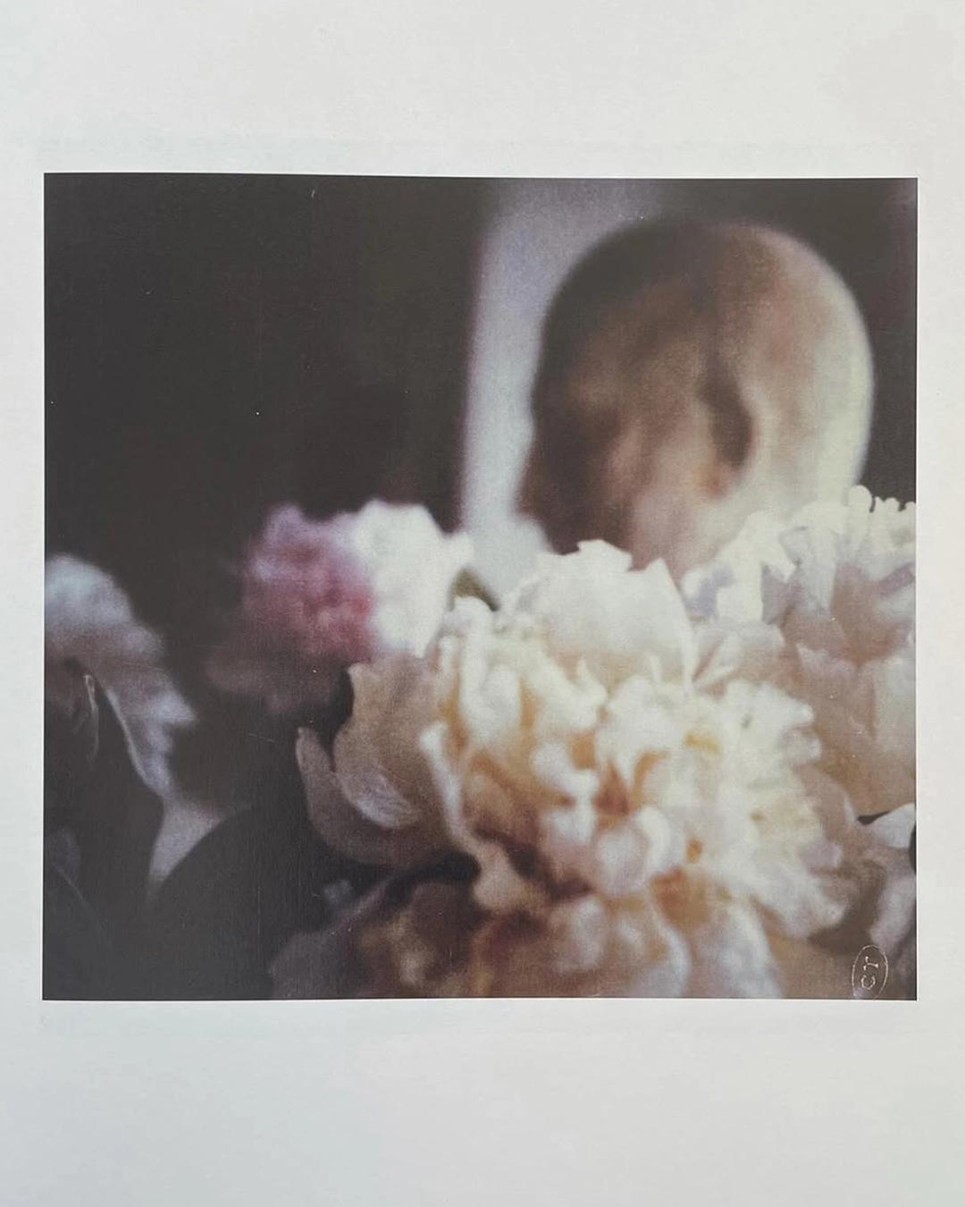 POLAROID BY CY TWOMBLY