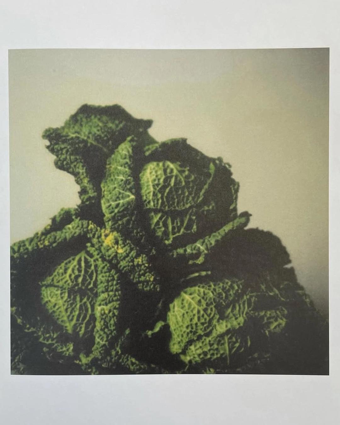 POLAROID BY CY TWOMBLY