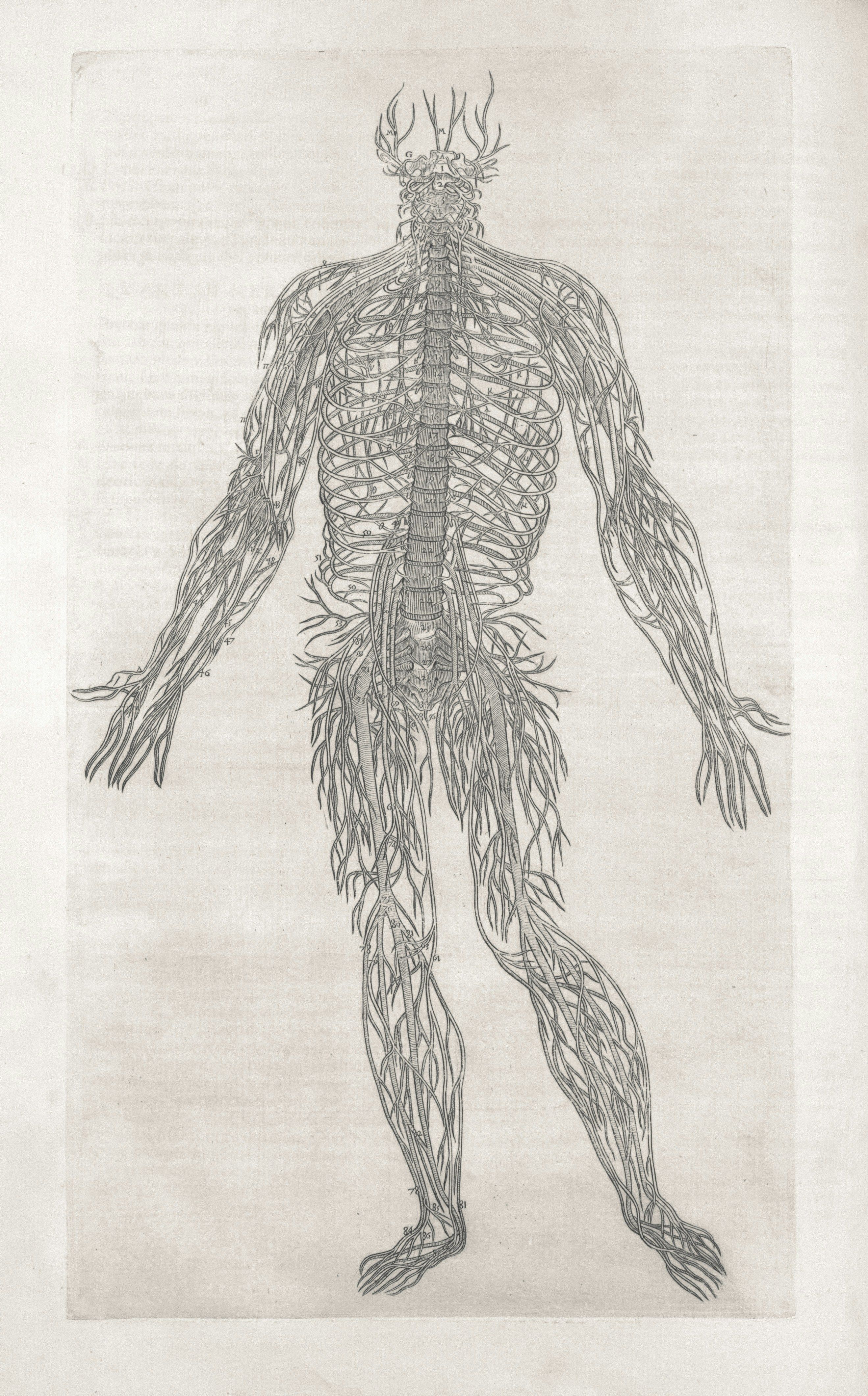 Consulta de fisioterapia y tratamiento del dolor neuropático en Mallorca