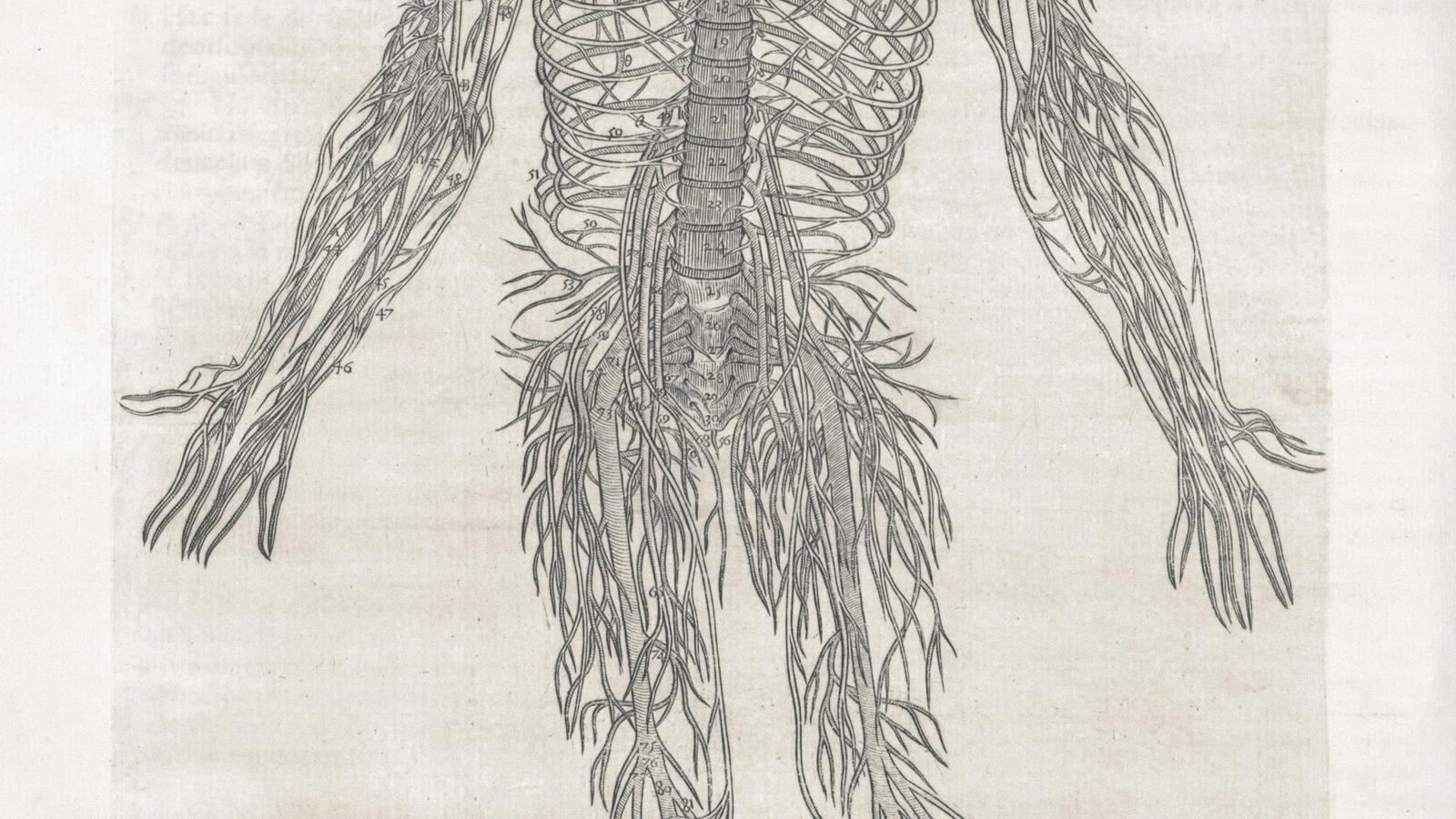 Consulta de fisioterapia y tratamiento del dolor neuropático en Mallorca