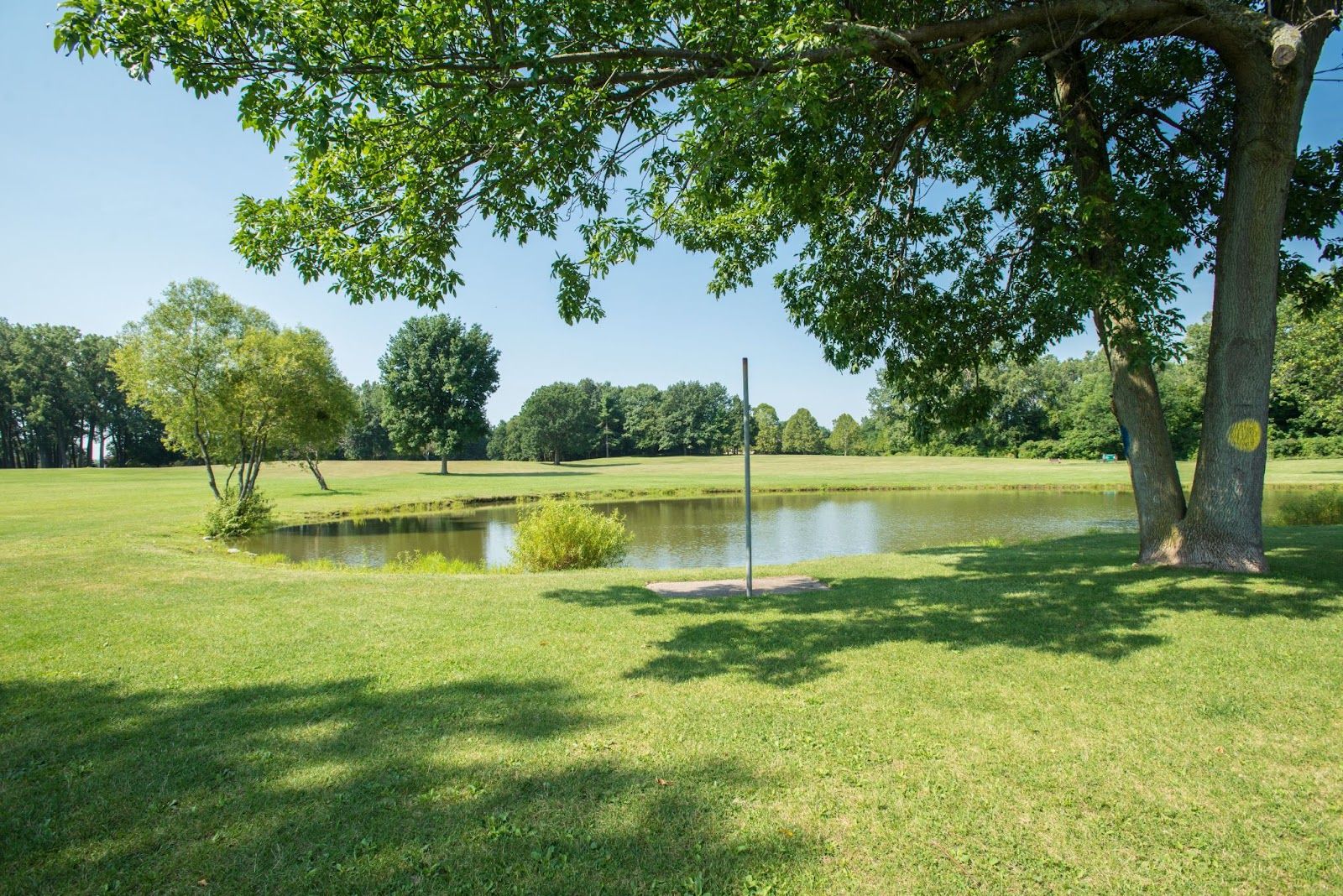 Bassett Park project photograph 1