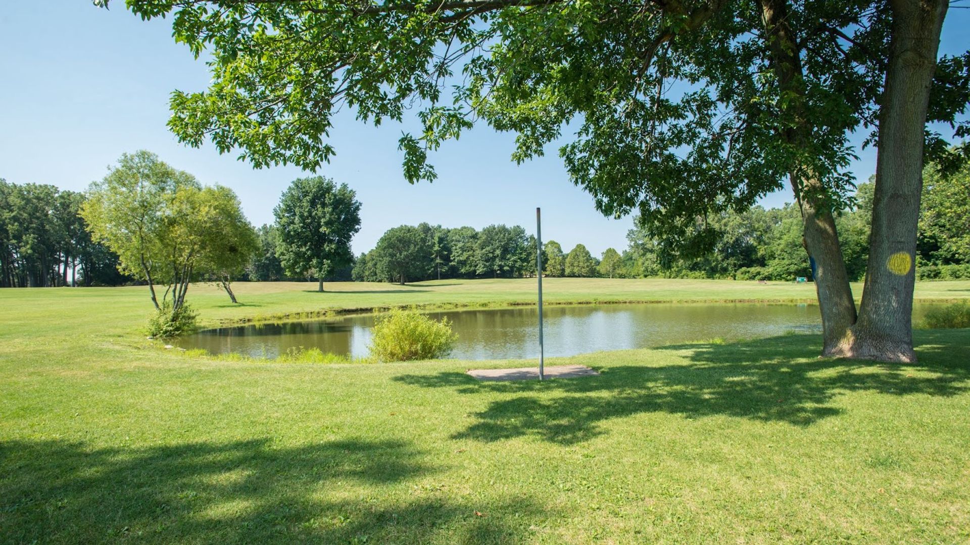 Bassett Park project photograph 1