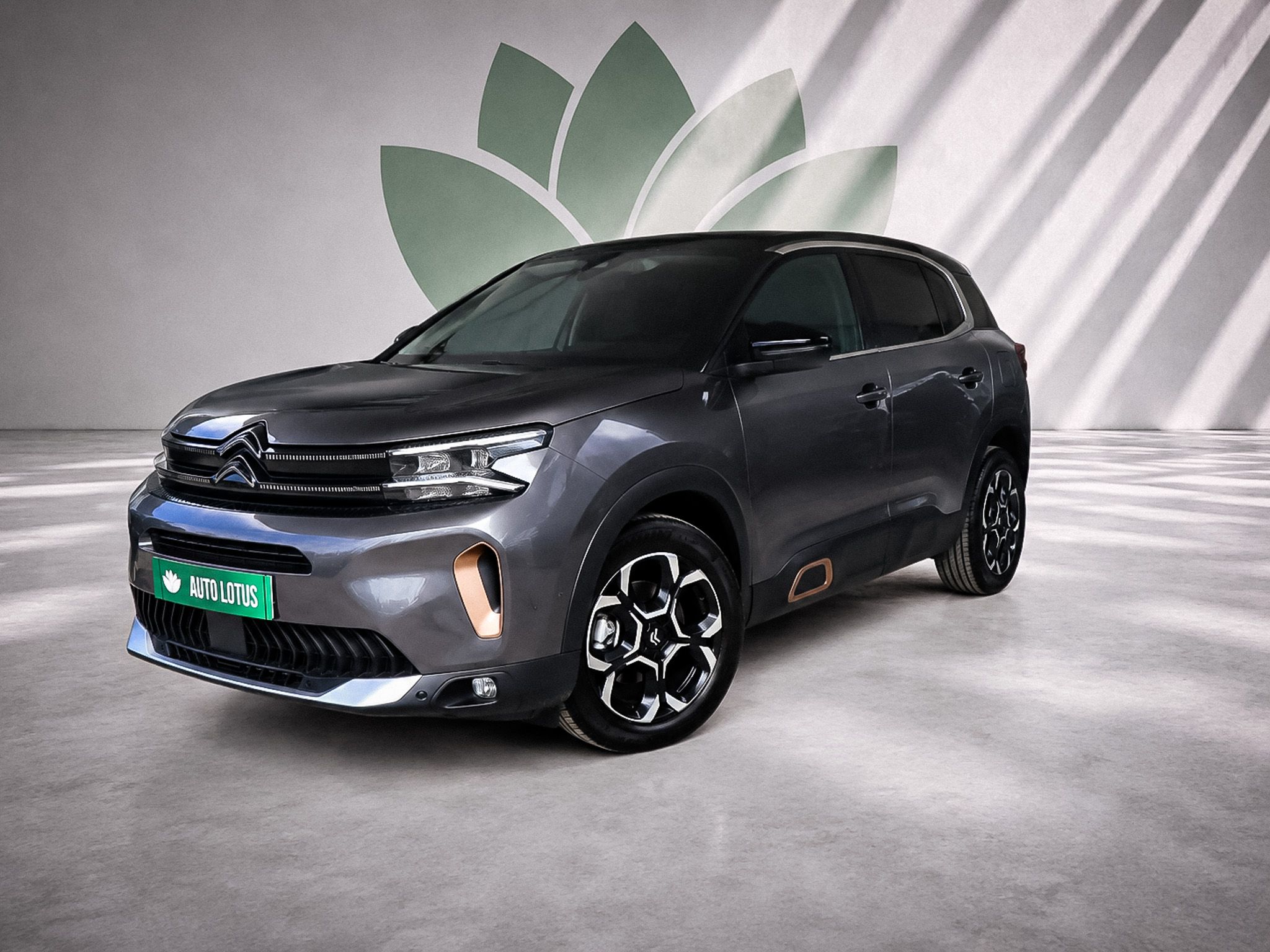 Citroën C5 Aircross 1.2 PureTech C-Series