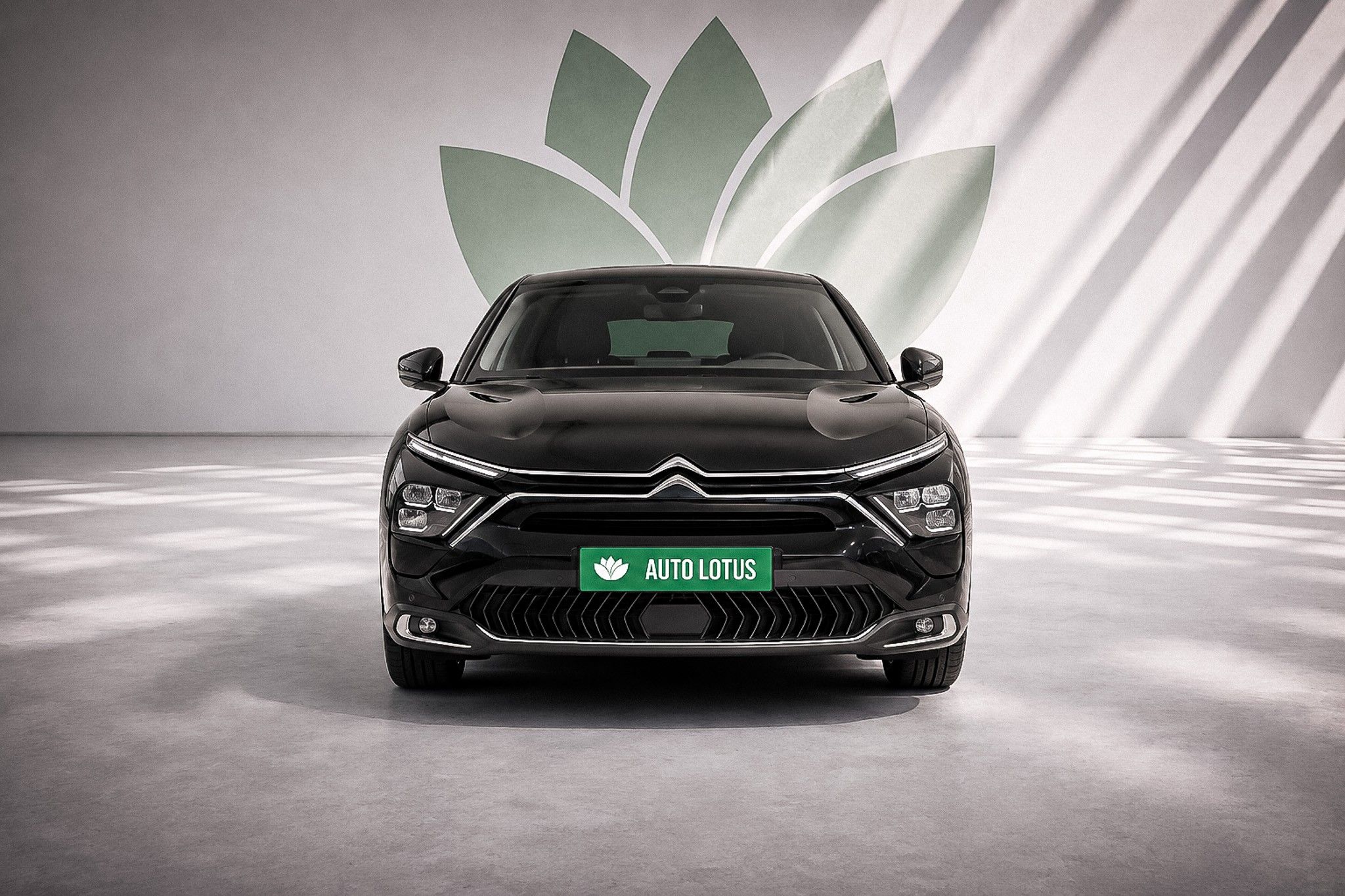 Citroën C5 X 1.6 Hybrid Plus e-EAT8 — fotografia 1