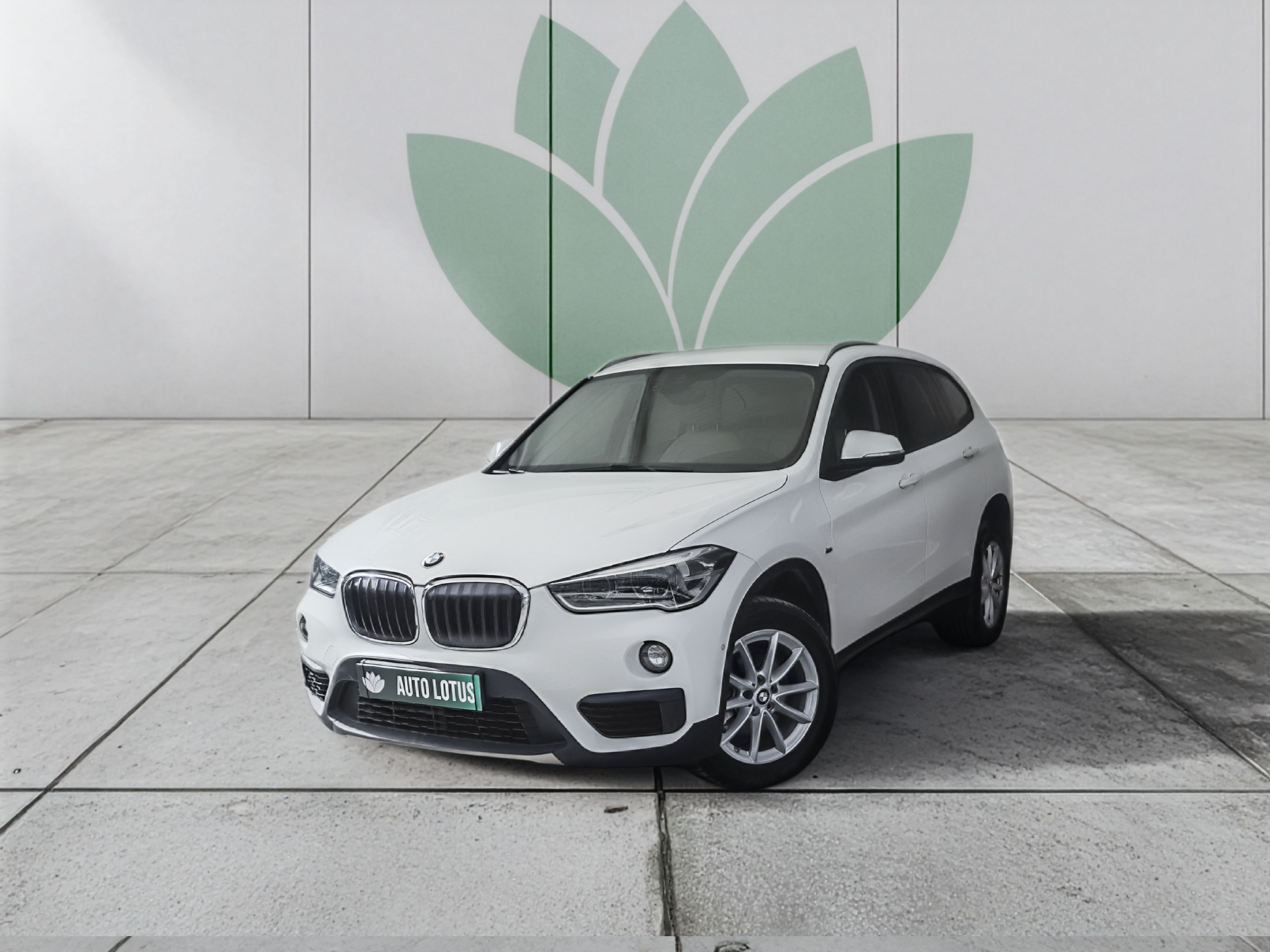 BMW X1 18 d sDrive Advantage Auto