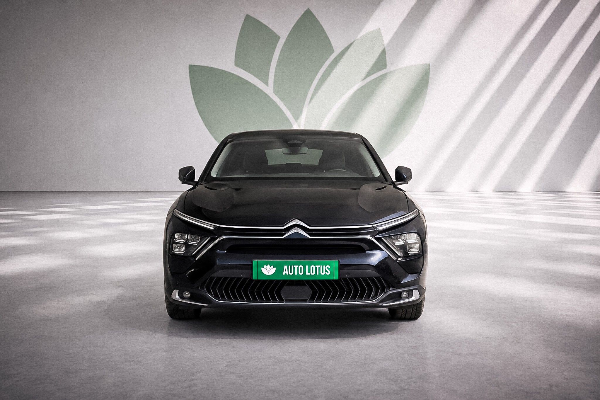 Citroën C5 X 1.6 Hybrid Plus e-EAT8