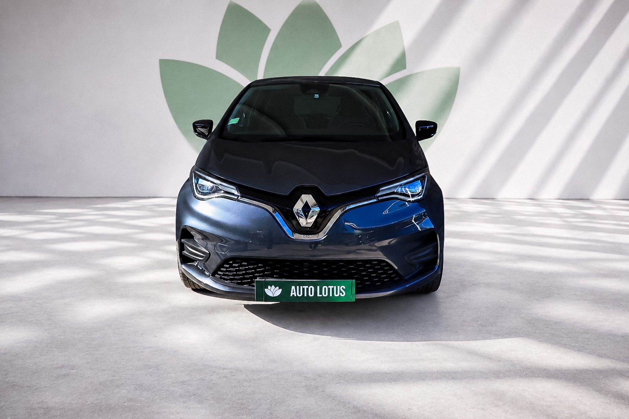 Renault Zoe (c/ Bateria) Limited 50