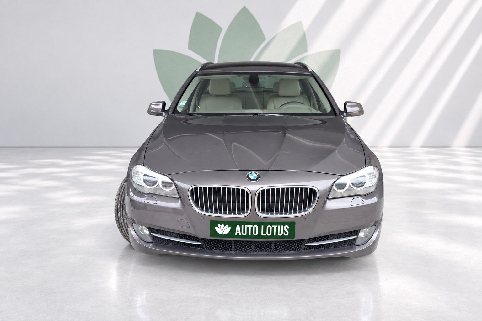 BMW 520 d Line Luxury Auto