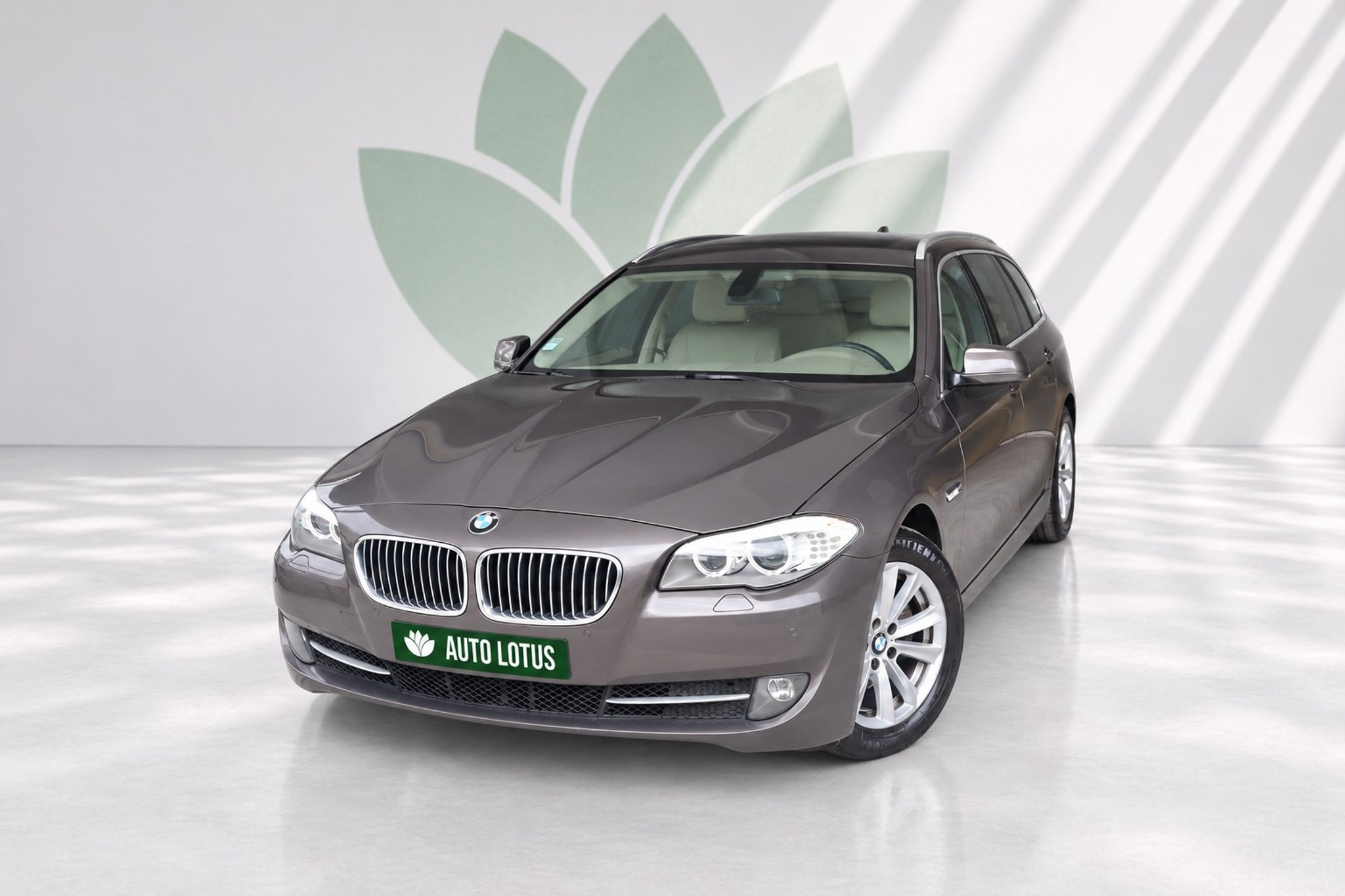 BMW 520 d Line Luxury Auto