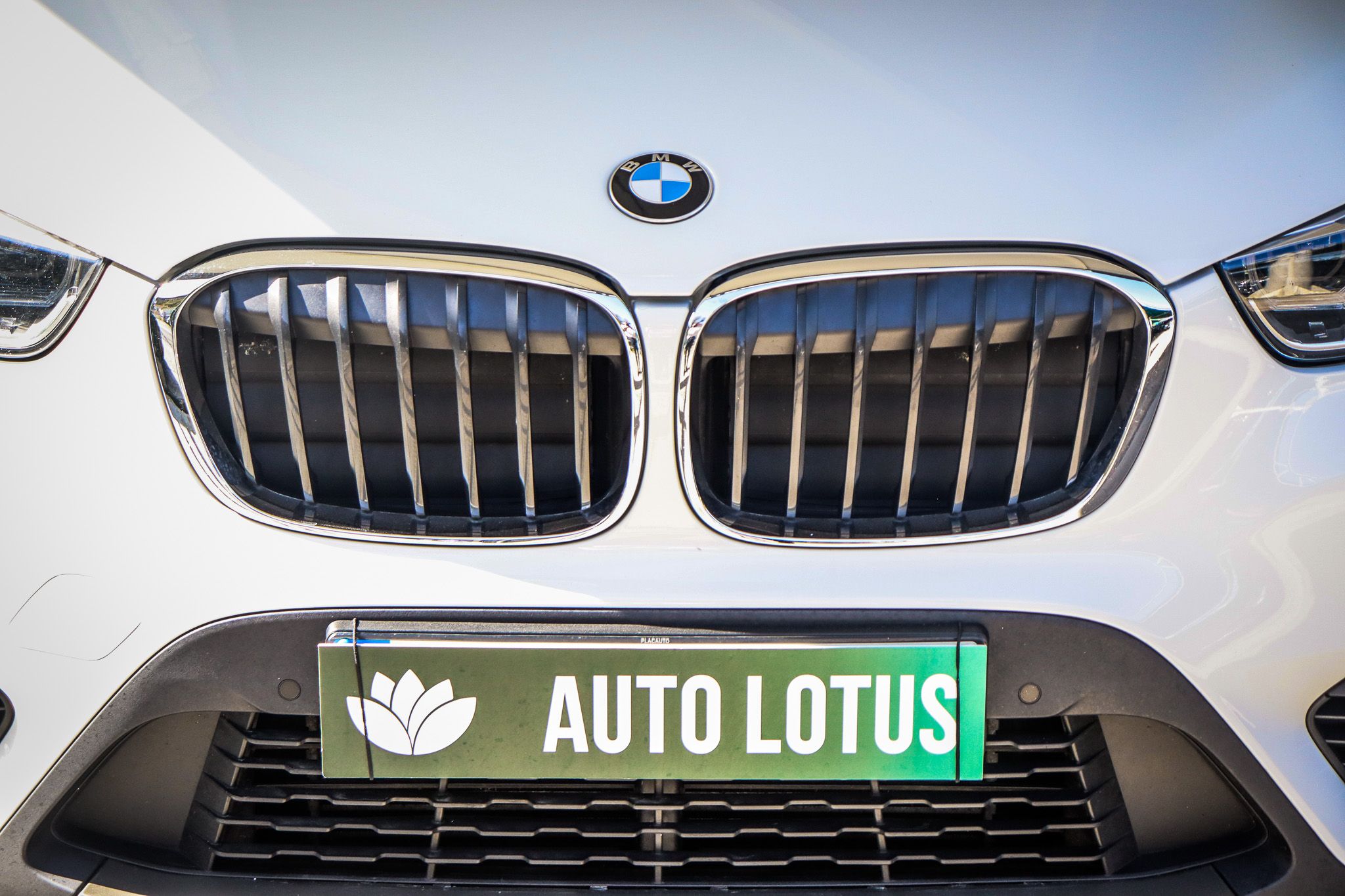 BMW X1 18 d sDrive Advantage Auto — dia a dia