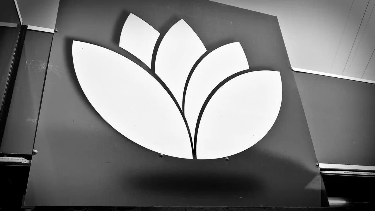 Logótipo Auto Lotus