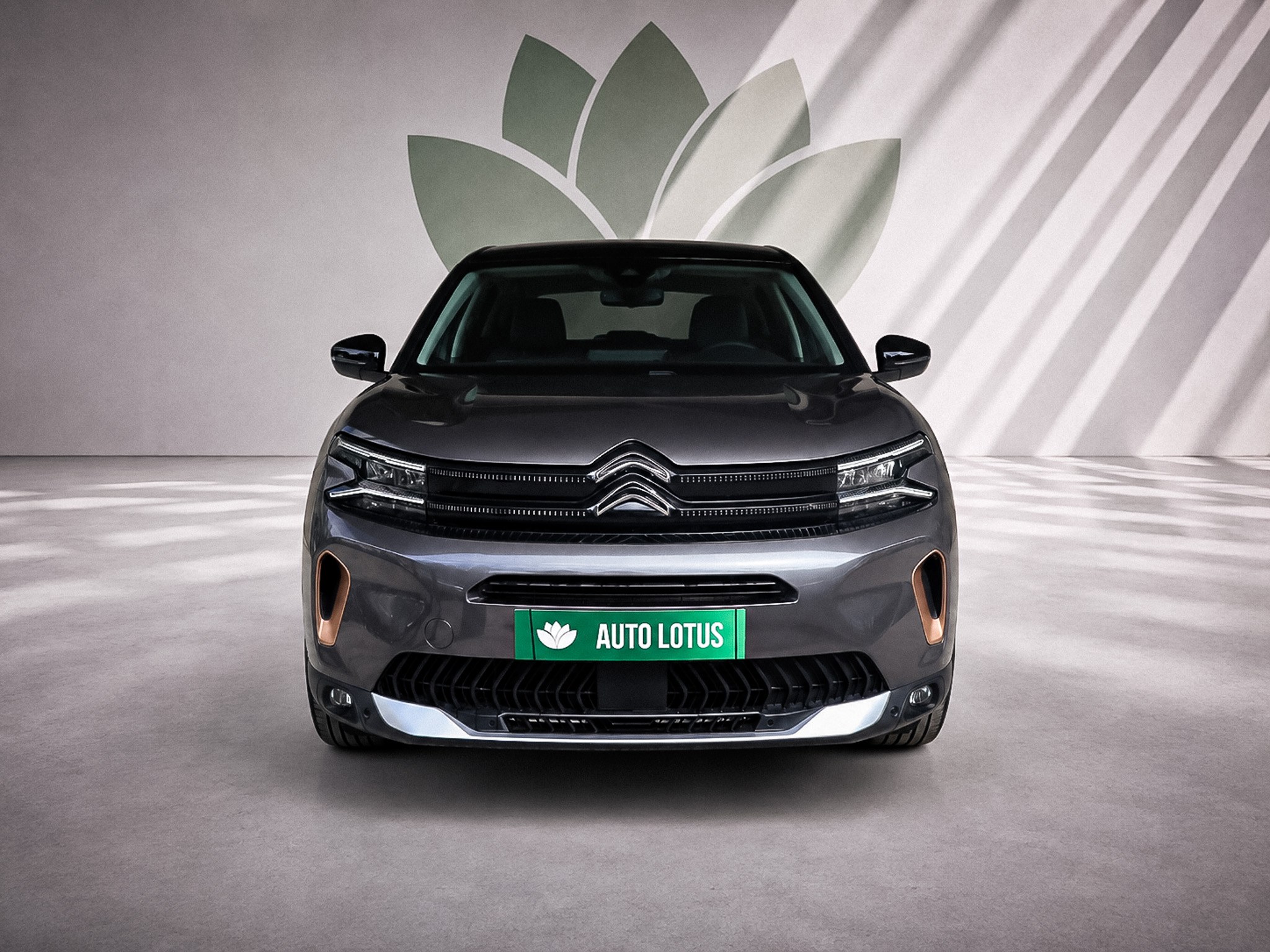 Citroën C5 Aircross 1.2 PureTech C-Series