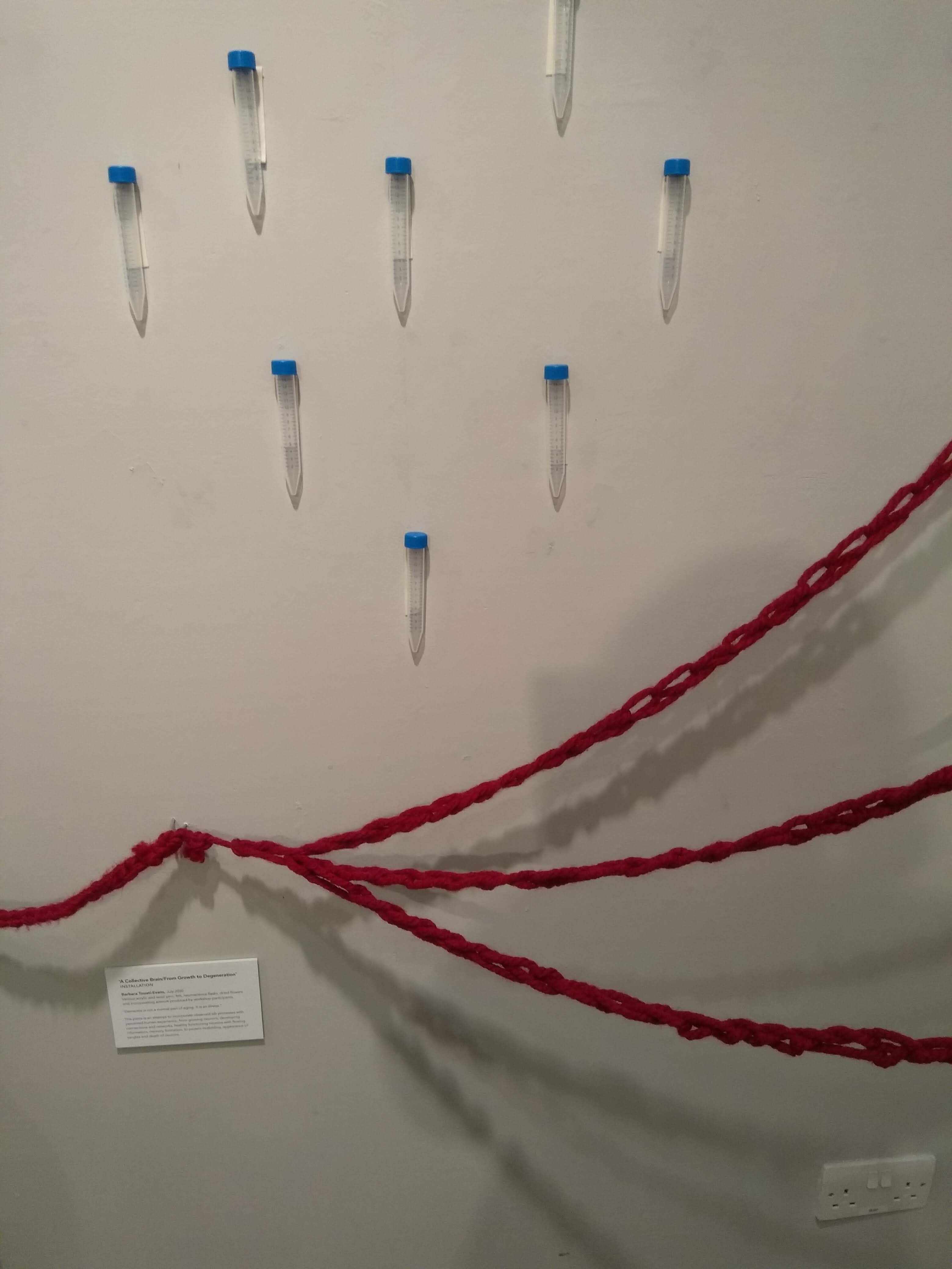 Beginning of the installation A Collective Brain showing large crochet chains and neuroscience labs tube containersonta